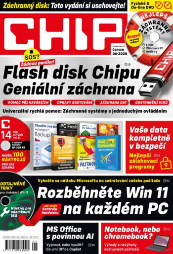 Chip